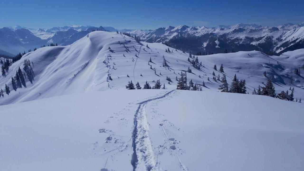 Hotel Garni Sonnhof Flachau Kültér fotó
